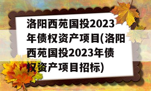 洛阳西苑国投2023年债权资产项目(洛阳西苑国投2023年债权资产项目招标)