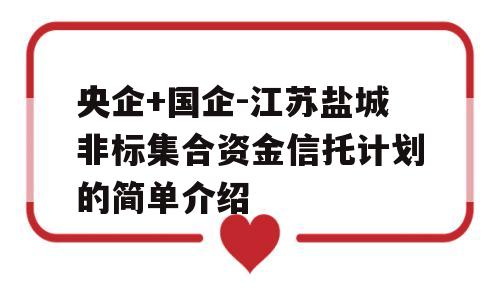 央企+国企-江苏盐城非标集合资金信托计划的简单介绍