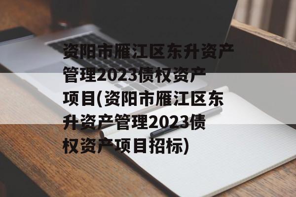 资阳市雁江区东升资产管理2023债权资产项目(资阳市雁江区东升资产管理2023债权资产项目招标)