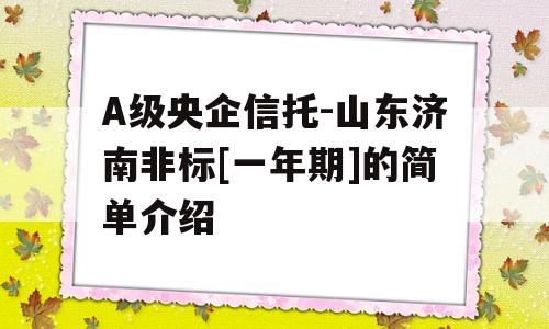 A级央企信托-山东济南非标[一年期]的简单介绍