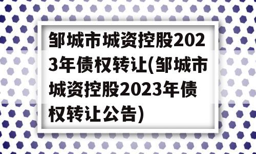 邹城市城资控股2023年债权转让(邹城市城资控股2023年债权转让公告)