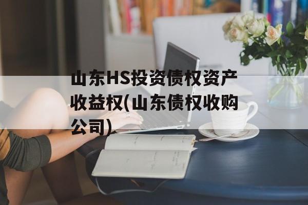 山东HS投资债权资产收益权(山东债权收购公司)