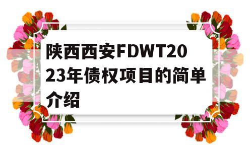 陕西西安FDWT2023年债权项目的简单介绍