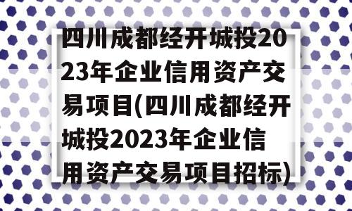 四川成都经开城投2023年企业信用资产交易项目(四川成都经开城投2023年企业信用资产交易项目招标)