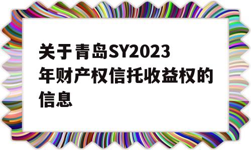 关于青岛SY2023年财产权信托收益权的信息