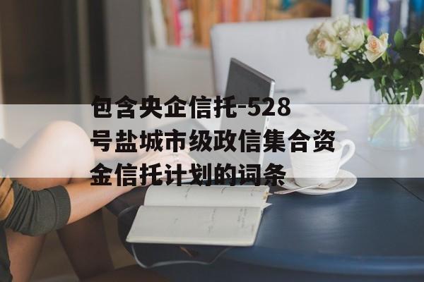 包含央企信托-528号盐城市级政信集合资金信托计划的词条