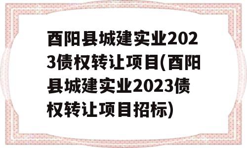 酉阳县城建实业2023债权转让项目(酉阳县城建实业2023债权转让项目招标)