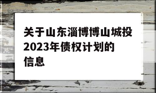 关于山东淄博博山城投2023年债权计划的信息