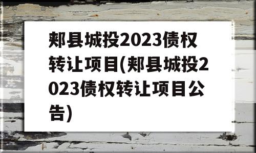 郏县城投2023债权转让项目(郏县城投2023债权转让项目公告)