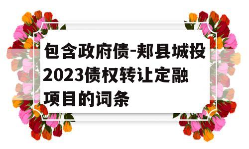 包含政府债-郏县城投2023债权转让定融项目的词条