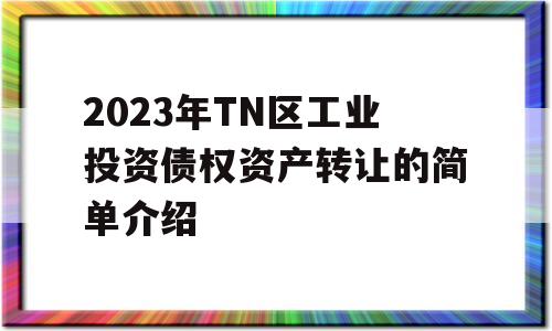 2023年TN区工业投资债权资产转让的简单介绍