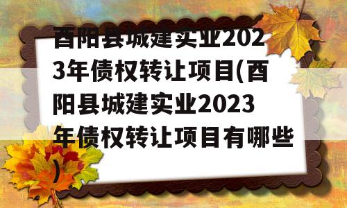 酉阳县城建实业2023年债权转让项目(酉阳县城建实业2023年债权转让项目有哪些)