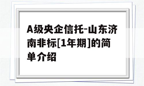 A级央企信托-山东济南非标[1年期]的简单介绍