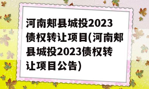 河南郏县城投2023债权转让项目(河南郏县城投2023债权转让项目公告)