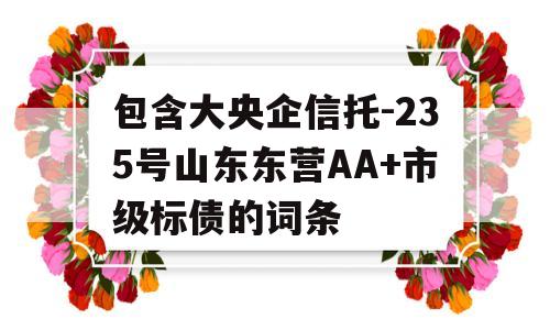 包含大央企信托-235号山东东营AA+市级标债的词条