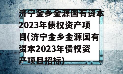 济宁金乡金源国有资本2023年债权资产项目(济宁金乡金源国有资本2023年债权资产项目招标)