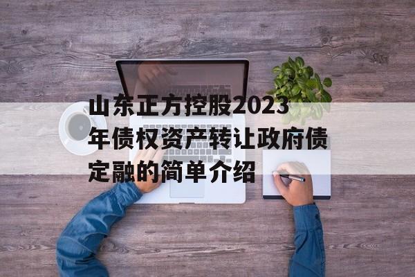 山东正方控股2023年债权资产转让政府债定融的简单介绍