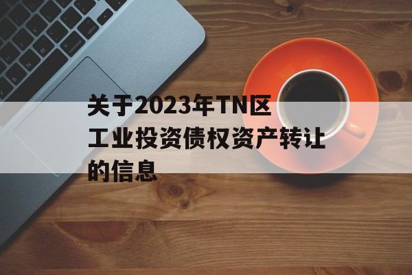 关于2023年TN区工业投资债权资产转让的信息