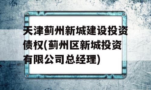 天津蓟州新城建设投资债权(蓟州区新城投资有限公司总经理)