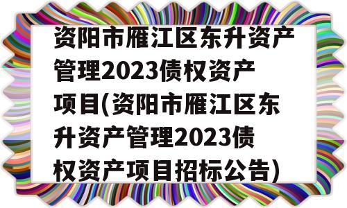 资阳市雁江区东升资产管理2023债权资产项目(资阳市雁江区东升资产管理2023债权资产项目招标公告)