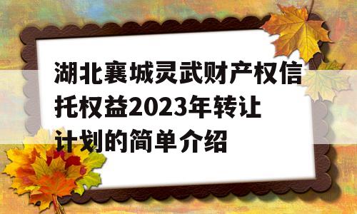 湖北襄城灵武财产权信托权益2023年转让计划的简单介绍