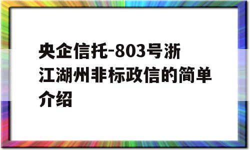 央企信托-803号浙江湖州非标政信的简单介绍