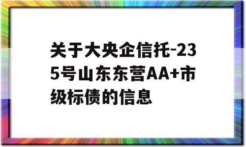 关于大央企信托-235号山东东营AA+市级标债的信息