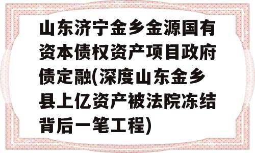 山东济宁金乡金源国有资本债权资产项目政府债定融(深度山东金乡县上亿资产被法院冻结背后一笔工程)