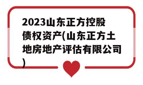 2023山东正方控股债权资产(山东正方土地房地产评估有限公司)