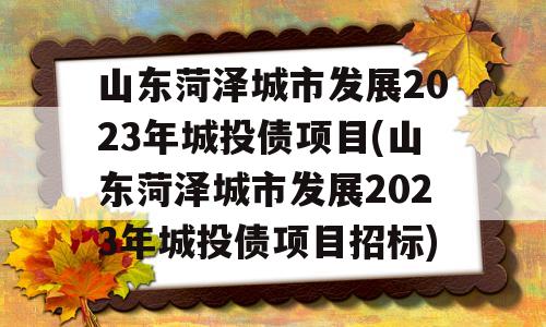 山东菏泽城市发展2023年城投债项目(山东菏泽城市发展2023年城投债项目招标)