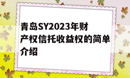 青岛SY2023年财产权信托收益权的简单介绍