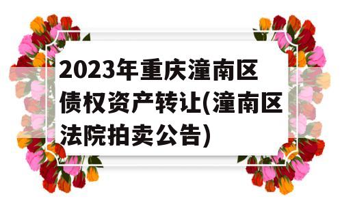 2023年重庆潼南区债权资产转让(潼南区法院拍卖公告)