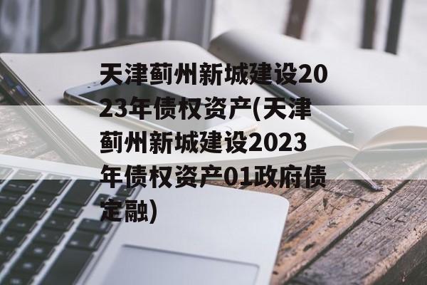 天津蓟州新城建设2023年债权资产(天津蓟州新城建设2023年债权资产01政府债定融)