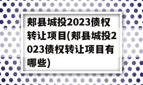 郏县城投2023债权转让项目(郏县城投2023债权转让项目有哪些)