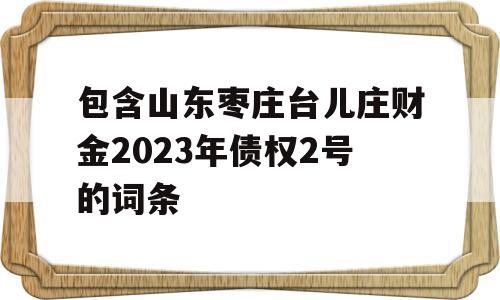 包含山东枣庄台儿庄财金2023年债权2号的词条