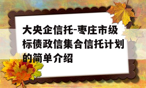 大央企信托-枣庄市级标债政信集合信托计划的简单介绍