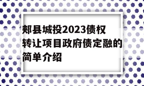 郏县城投2023债权转让项目政府债定融的简单介绍