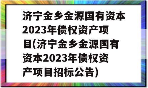 济宁金乡金源国有资本2023年债权资产项目(济宁金乡金源国有资本2023年债权资产项目招标公告)