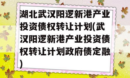 湖北武汉阳逻新港产业投资债权转让计划(武汉阳逻新港产业投资债权转让计划政府债定融)