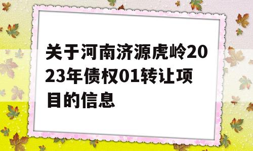 关于河南济源虎岭2023年债权01转让项目的信息