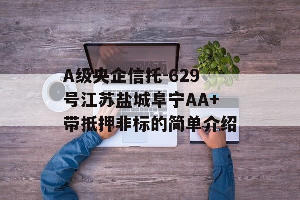 A级央企信托-629号江苏盐城阜宁AA+带抵押非标的简单介绍