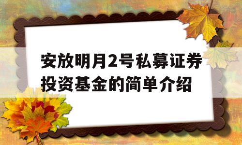 安放明月2号私募证券投资基金的简单介绍