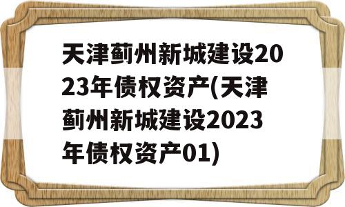 天津蓟州新城建设2023年债权资产(天津蓟州新城建设2023年债权资产01)