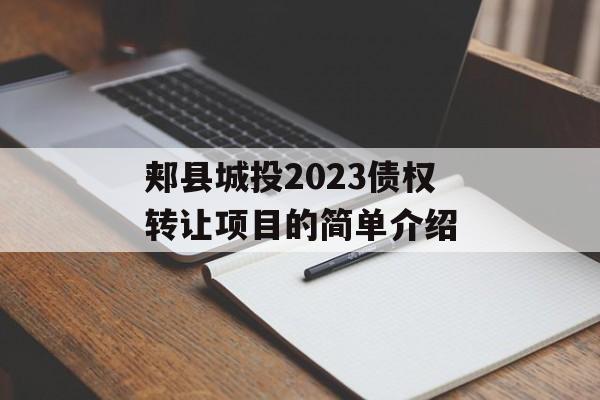 郏县城投2023债权转让项目的简单介绍