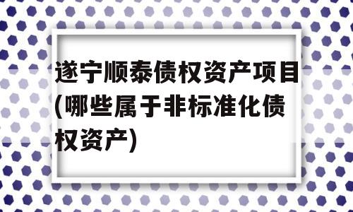 遂宁顺泰债权资产项目(哪些属于非标准化债权资产)