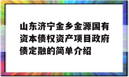 山东济宁金乡金源国有资本债权资产项目政府债定融的简单介绍