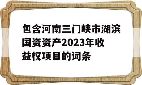 包含河南三门峡市湖滨国资资产2023年收益权项目的词条