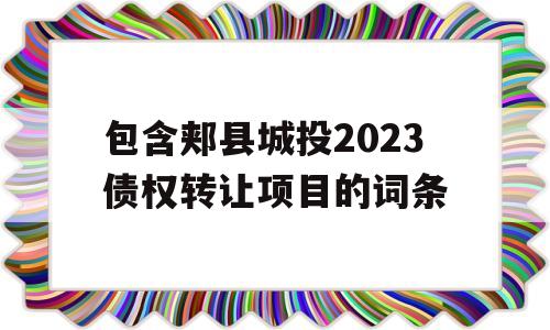 包含郏县城投2023债权转让项目的词条