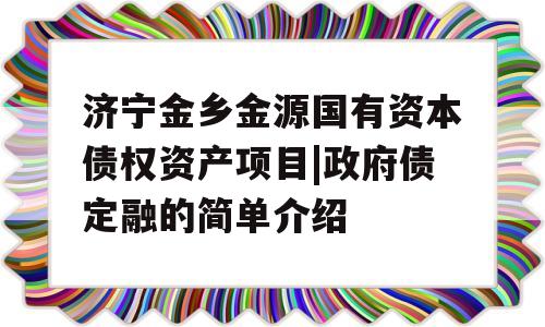 济宁金乡金源国有资本债权资产项目|政府债定融的简单介绍