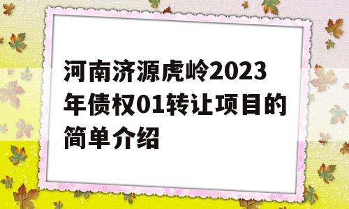 河南济源虎岭2023年债权01转让项目的简单介绍